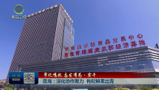 【牢记嘱托 奋发有为·实干】青海：深化协作聚力 枸杞鲜果出青