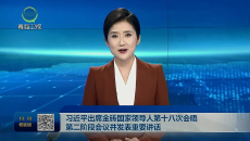 习近平出席金砖国家领导人第十八次会晤第二阶段会议并发表重要讲话
