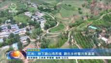 晚间播报 20260915