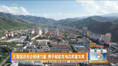 汇聚国资央企磅礴力量 携手赋能青海高质量发展