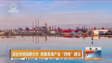 深化央地战略合作 助推青海产业“四地”建设
