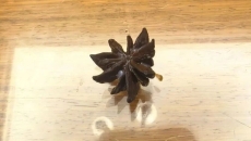 买的“八角”数出13个角，一查竟有毒！特别提醒