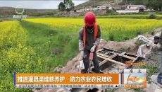 推进灌溉渠维修养护 助力农业农民增收