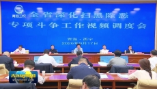 全省深化扫黑除恶专项斗争工作视频调度会召开
