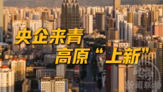 央企来青 高原“上新”