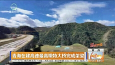 青海在建高速最高墩特大桥完成架梁