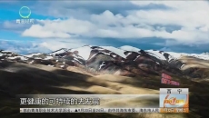 善行生命树 情暖三江源