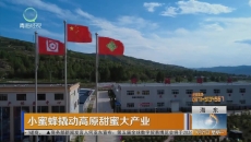 小蜜蜂撬动高原甜蜜大产业