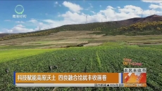 科技赋能高原沃土 四良融合绘就丰收画卷