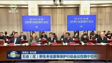 五省(区)野生冬虫夏草保护行动会议在西宁召开