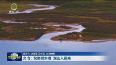【大美短视频·这就是青海】久治：秋染鄂木措 湖山入画来