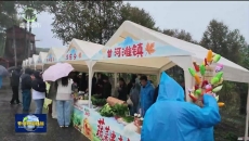 扎实推进乡村全面振兴 努力让广大农民生活更加幸福美好