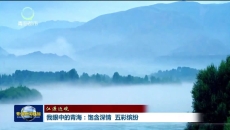 【江源近观】我眼中的青海：饱含深情 五彩缤纷