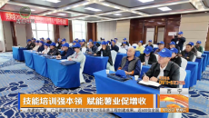 技能培训强本领 赋能薯业促增收