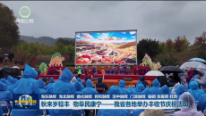 秋来岁稔丰 物阜民康宁——我省各地举办丰收节庆祝活动