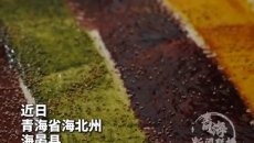 中秋限定纯享版 沉浸式做青海大月饼