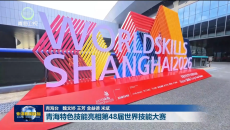 青海特色技能亮相第48届世界技能大赛