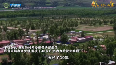 三代村支书的接力与坚守