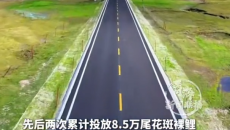 高原晒黑容颜 G338热江公路36公里草原路 见证筑路担当