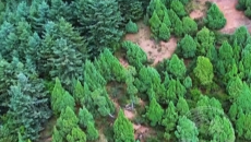 丹霞叠翠 遇见山水化隆