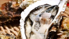 秋季这4种海产 如何吃得健康又美味？
