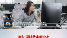 海东：深耕数字新业态 助力家门口就业增收