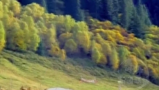 看层林尽染 在互助北龙山邂逅最美秋景