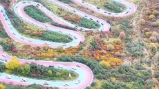 青海省交通厅专场发布会召开 生态优先打造高原绿色公路