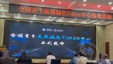 高原绿电不白跑 全给AI当“口粮” 全国首个高原绿色词元中心落地青海