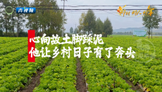 心向故土脚踩泥 他让乡村日子有了奔头