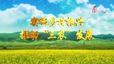 海北新闻联播 20250207
