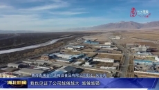 门源：企业项目开启复工热潮 冲刺蛇年新春“开门红”