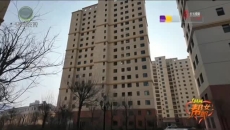 多户居民家中受蚂蚁困扰 社区物业协调有望解决