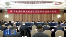晚间播报 20250306