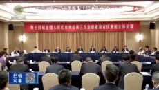晚间播报 20250303