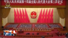 晚间播报 20250305