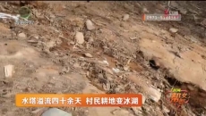 水塔溢流四十余天 村民耕地变冰湖