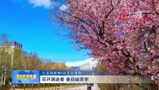 花开满途香 春日绽芳华