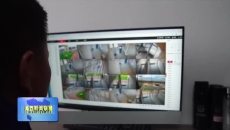 格尔木消防添“新兵” 搜救犬助力救援能力提升