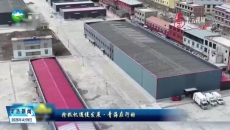 从高原牧场到都市餐桌 班玛牦牛产业链升级助力牧民增收