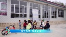 今日青海 20250507向下扎根 向上生长