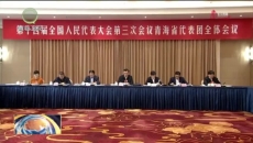 晚间播报 20250308