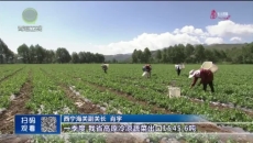 晚间播报 20250418