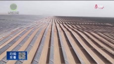 晚间播报 20250501
