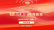 第十四届全国人民代表大会第三次会议青海代表团离青赴京