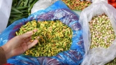 “春日限定”美食来了 吃野菜有哪些讲究？
