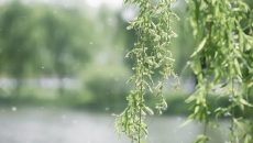 近期高发：有打喷嚏、流鼻涕、眼睛痒等症状，别硬扛