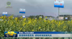 香港媒体看青海 感知青海发展风采