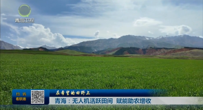 在希望的田野上 青海:无人机活跃田间 赋能助农增收