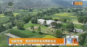 “创新思维”激活传统农业发展新业态